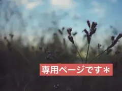 ポメころび様専用ページです＊ - メルカリ