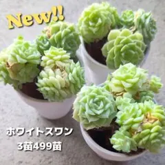 Betty❣️◆◆プロフ必読◆◆様 リクエスト 2点 まとめ商品