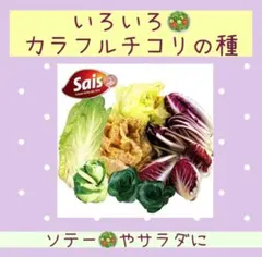 ひろ様 リクエスト 2点 まとめ商品