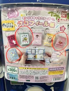 【3点】サンリオキャラクターズ プロフィール帳