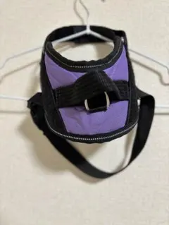 Item thumbnail for item 537248e5-e9c3-4f49-99be-ebabe37dc2b7