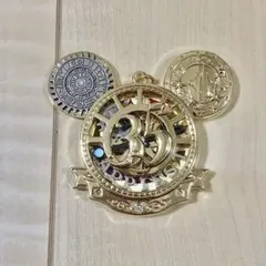 ディズニーランド　35周年 タイム・オブ・セレブレーション