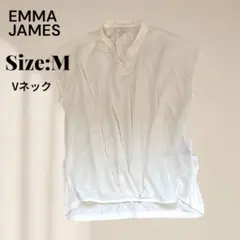 Item thumbnail for item addefdb8-fdd7-475a-989d-bac57a69d5c6