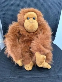 Item thumbnail for item 8bda9af9-5c7d-420c-9f95-9ccaf798bcaf