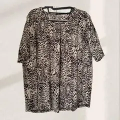 Item thumbnail for item 7c92ca0a-5012-49e4-8b38-79647ed92674