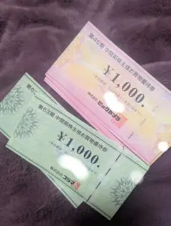 ビックカメラ コジマ 株主優待券 10000円分