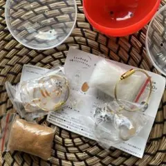 うちの子のけだま 猫のカプセルトイ　茶トラ/三毛猫