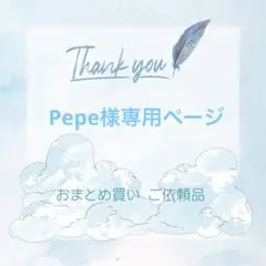 Pepe様専用ページ リクエスト 5点 まとめ商品