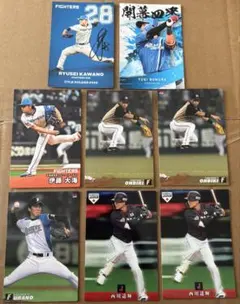 プロ野球チップスカード 日本ハムファイターズ