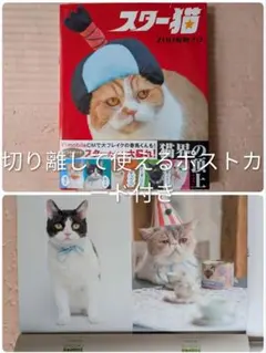 スター猫 猫写真集 ZOO動物プロ 帯付 未切り離しポストカード付