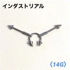 Item thumbnail for item 3d9c022f-82c3-495a-813a-dec74da400be