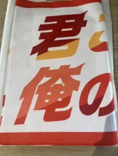 JRA 京都競馬場　オリジナルタオル　Welcomeチャンス　2点