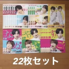 ガルボ　クリアファイル　下敷き　22枚　中島健人　菊池風磨