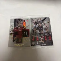 男子バレーボールウエハースspカード集合B &富田将馬レアカード(3-23)