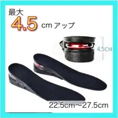 シークレットインソール ウェア