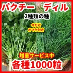 ブイテイフエンチャム様 リクエスト 4点 まとめ商品