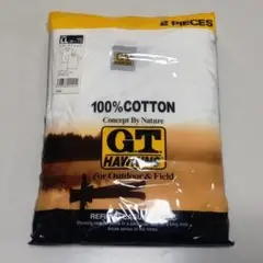 G.T. HAWKINS GTホーキンス VネックTシャツ 肌着 2枚組