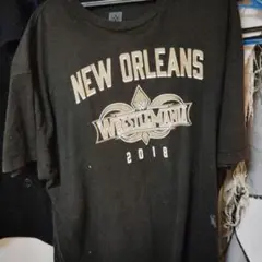 Item thumbnail for item 7fb19d47-7d91-4798-9240-0191bfe48591