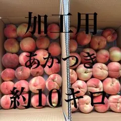 山梨県産 摘果桃 若桃 加工用 箱込み約11.0kg - メルカリ
