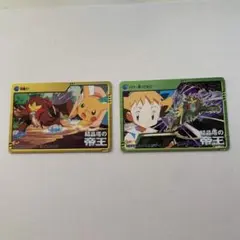 ポケモンカード 結晶塔の帝王エンテイ チコリータ ヒノアラシ ワニノコ