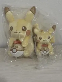 ポケモンセンター 30周年 ピカチュウ ぬいぐるみ 2種セットのサムネイル