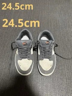 NIKE SB Force58 24.5cm スケシュー ナイキ