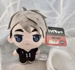 ハイキュー‼︎ ぷちっしゅ ぬいぐるみ 宮治