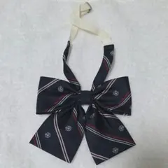 Item thumbnail for item fde6784c-293a-4282-bcb4-0440248c0bcd