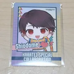 大穢 カラオケの鉄人 カラ鉄 コラボ ミニフォト風カード ドリンク 特典 汐留