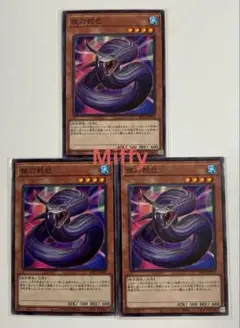 遊戯王 夜刀蛇巳 (ノーマル) 3枚