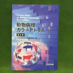 2026年最新】カラーアトラス 病理の人気アイテム - メルカリ