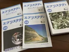 2026年最新】エブリスタディの人気アイテム - メルカリ