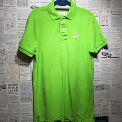 HOLLISTER ホリスター ポロシャツ size Lのサムネイル