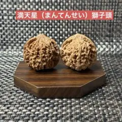 【大玉·百花山満天星】 遊ぶクルミ約46gペア（mtx001）