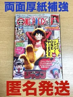 ワンピースマガジン20 カードなし　ONE PIECE magazine
