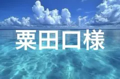 小福*kofuku*様 オーダー品 ジャスパーとナバホパールのセット - メルカリ