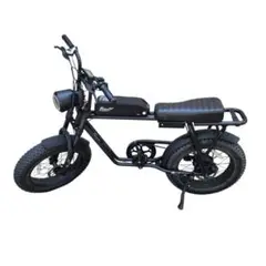 FLOW bike スロットル　自転車 楽天市場】特定小型 フル電動自転車用スロットル スロットル