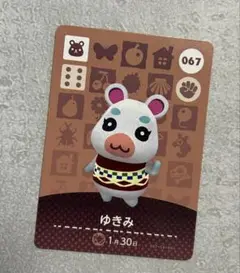 ゆきみ あつ森‼️