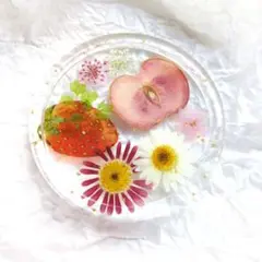 NO.4●固まるハーバリウム食品OK●フルーツとお花のサークルトレイ/コースター