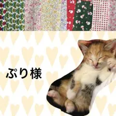 シュシュ首輪　子猫　フラワーモチーフダブルリボン　⑤-RDC2