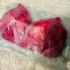 アンジェリール 凛とルームブラ マゼンタ (M）
