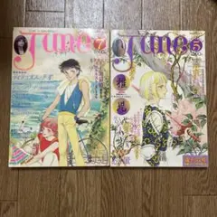 Humming Bird Final Stage 1995 未開封 Humming Bird Final Stage 1995 未開封 | Mercari