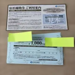 ビジョン 株主優待券　グローバルWi-Fi 温泉旅館割引券 ¥29,000 ビジョン 株主優待券 グローバルWi-Fi 温泉旅館割引券 ¥29,000 - メルカリ