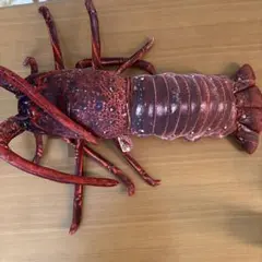 dayohi様 リクエスト 2点 まとめ商品