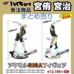 めいこい FC通販限定 特典 缶バッジ 岩崎桃介&綾月芽衣 れいこい