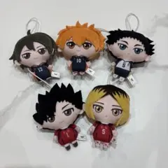 ハイキューぬいぐるみ 5体セット
