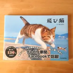 飛び猫