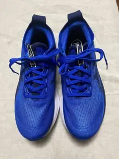 ゲルニンバス2727.5