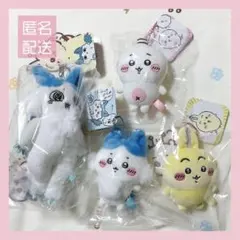 ちいかわ MINISO パジャマ モモンガ 4点セット - メルカリ