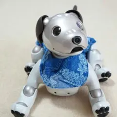 Item thumbnail for item 8867f2db-66f3-458e-b983-0aa1e174f7e3